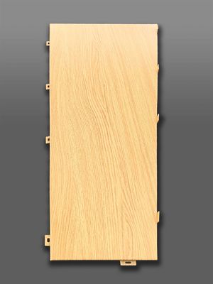 การ ทํา งาน ที่ ดี กว่า อลูมิเนียม แฟนเนอร ส่ง ความ สวยงาม ของ สถาปัตยกรรม ไป สู่ ความ สูง ใหม่